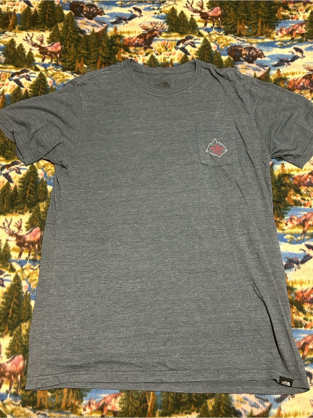 Men’s North Face gray tshirt